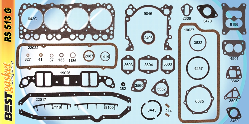Engine Rebuilding Set RS513G